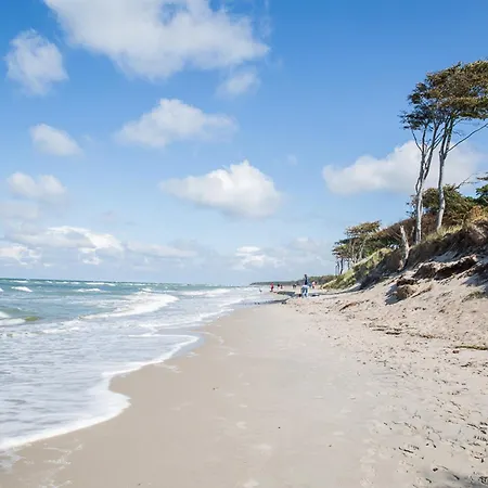 Haubenlerche 15 * Fuhlendorf (Mecklenburg-Vorpommern)