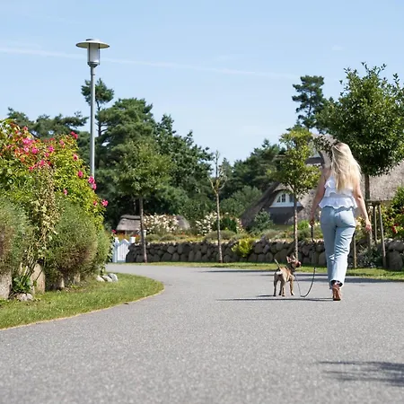 Haubenlerche 15 Prázdninový dům