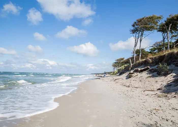 Haubenlerche 15 * Fuhlendorf