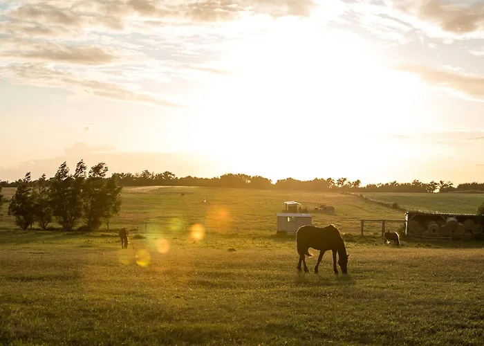 Haubenlerche 15 別荘 *