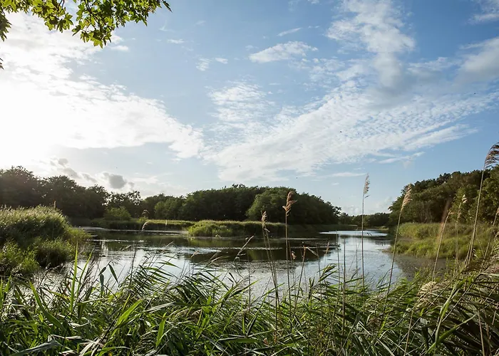 Haubenlerche 15 Fuhlendorf