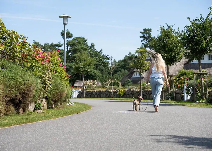 Haubenlerche 15 別荘